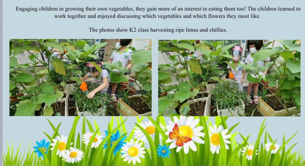 Our Community Garden — photo 2
