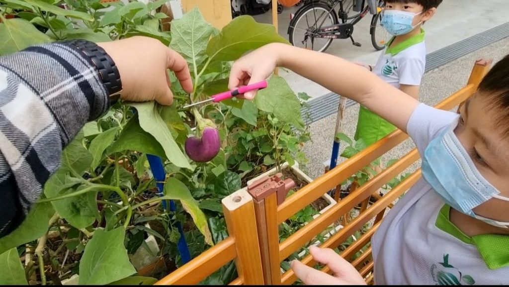 Our Community Garden — photo 5