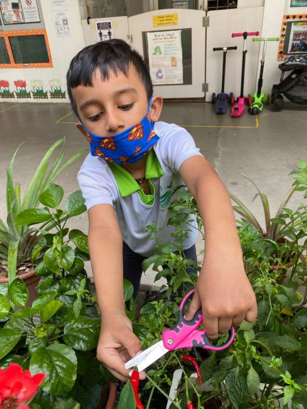 Our Community Garden — photo 9