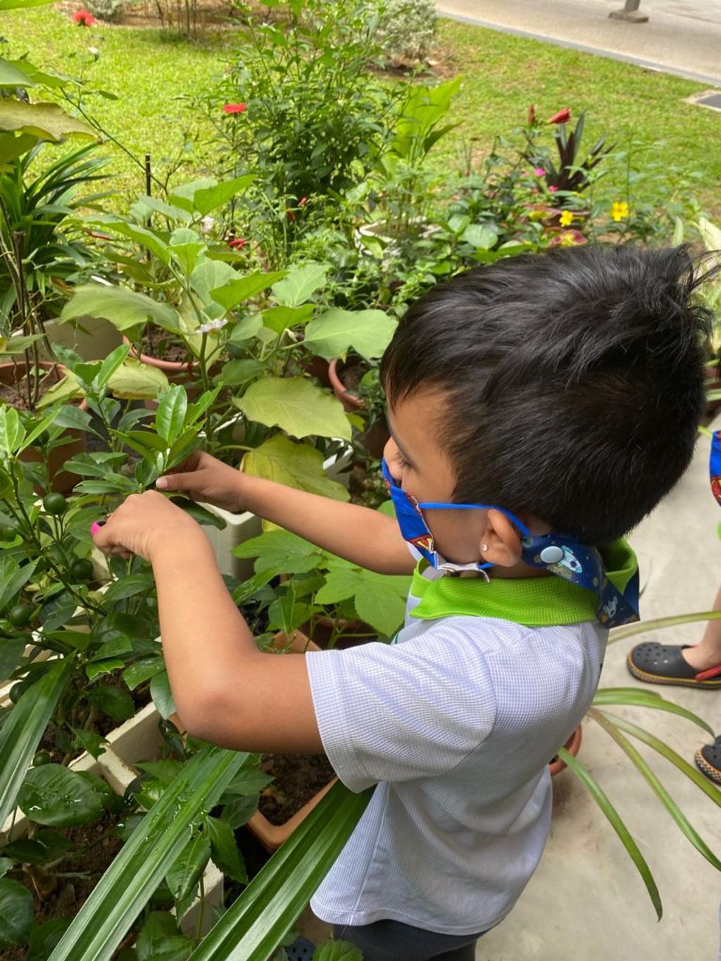 Our Community Garden — photo 15