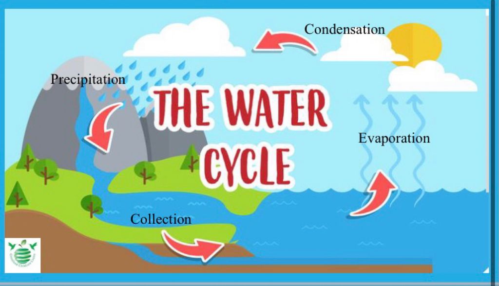 The Water Cycle