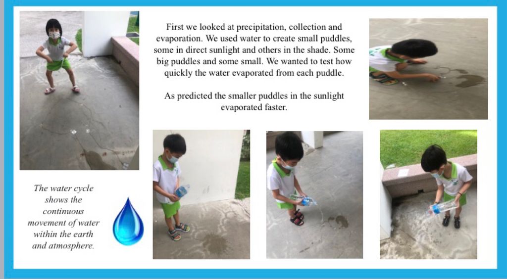 The Water Cycle — photo 2
