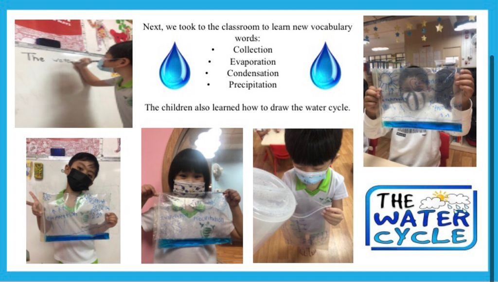 The Water Cycle — photo 3