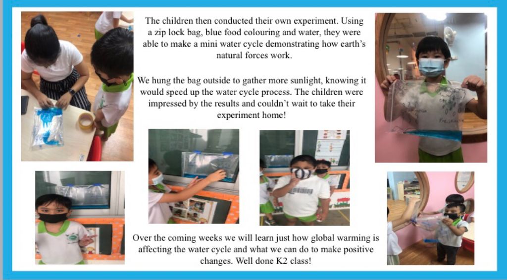 The Water Cycle — photo 4