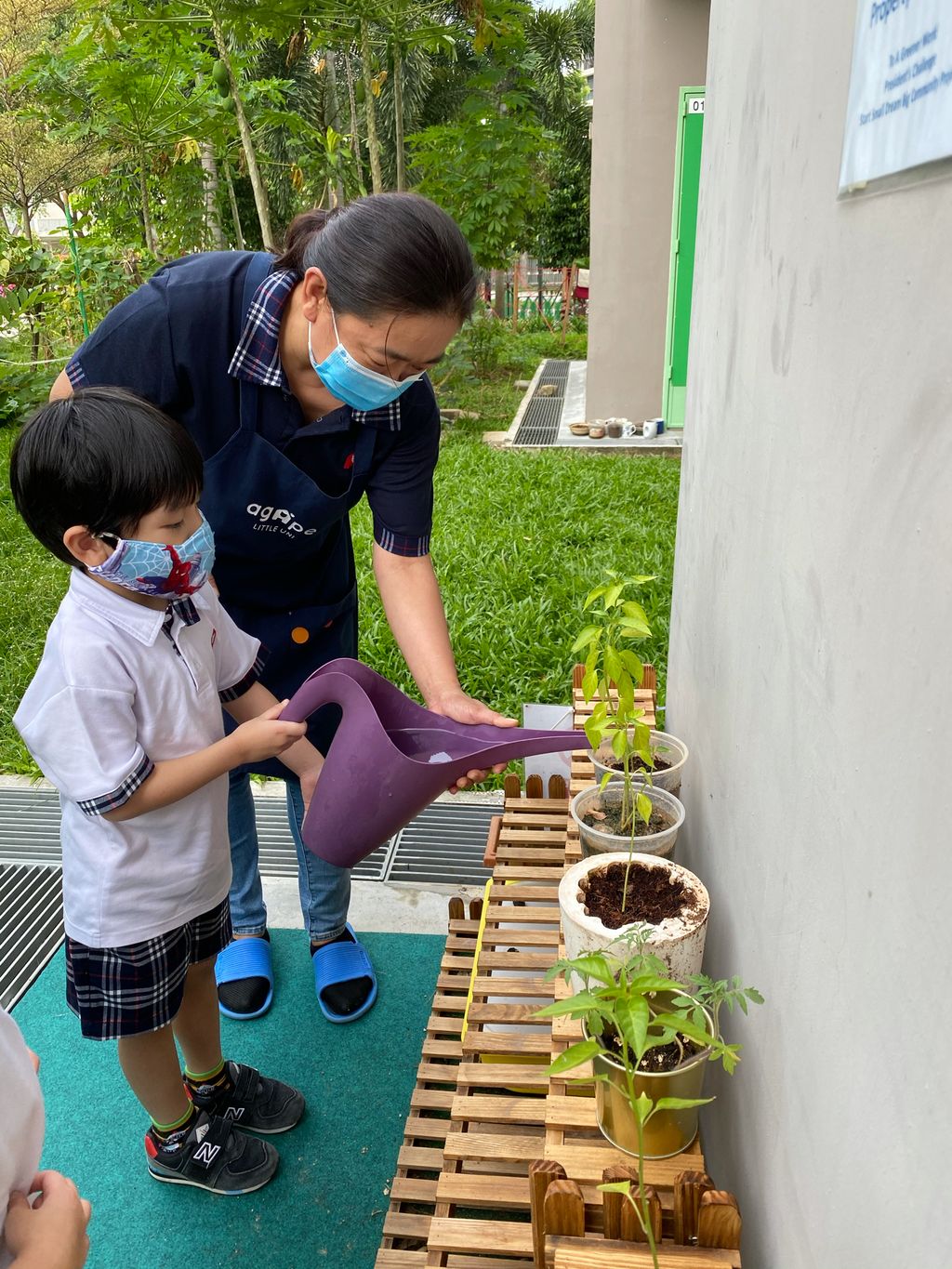 Agape Little Uni @ Upper Serangoon - Stepping Into Sustainable Living (Garden of Agape)