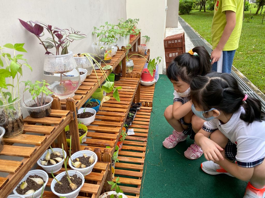 Agape Little Uni @ Upper Serangoon - Stepping Into Sustainable Living (Garden of Agape) — photo 2