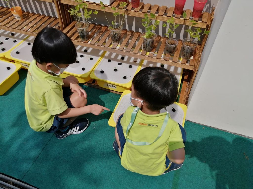 Agape Little Uni @ Upper Serangoon - Stepping Into Sustainable Living (Garden of Agape) — photo 3