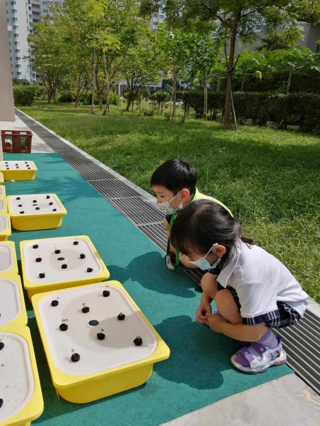 Agape Little Uni @ Upper Serangoon - Stepping Into Sustainable Living (Garden of Agape) — photo 6