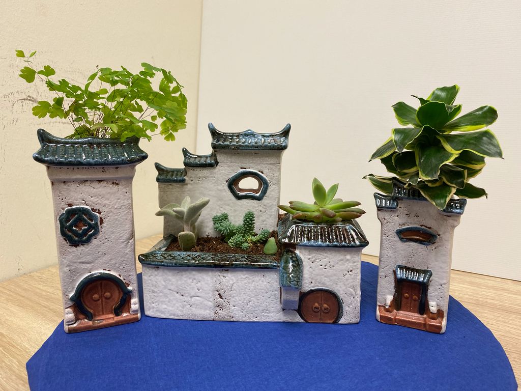 Agape Little Uni @ Upper Serangoon - Stepping Into Sustainable Living (Garden of Agape) — photo 1