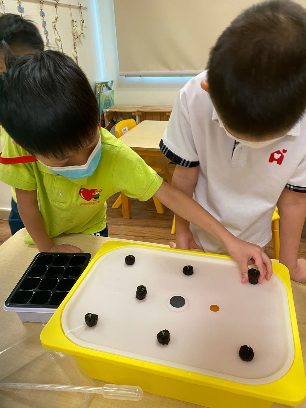 Agape Little Uni @ Upper Serangoon - Stepping Into Sustainable Living (Garden of Agape) — photo 1