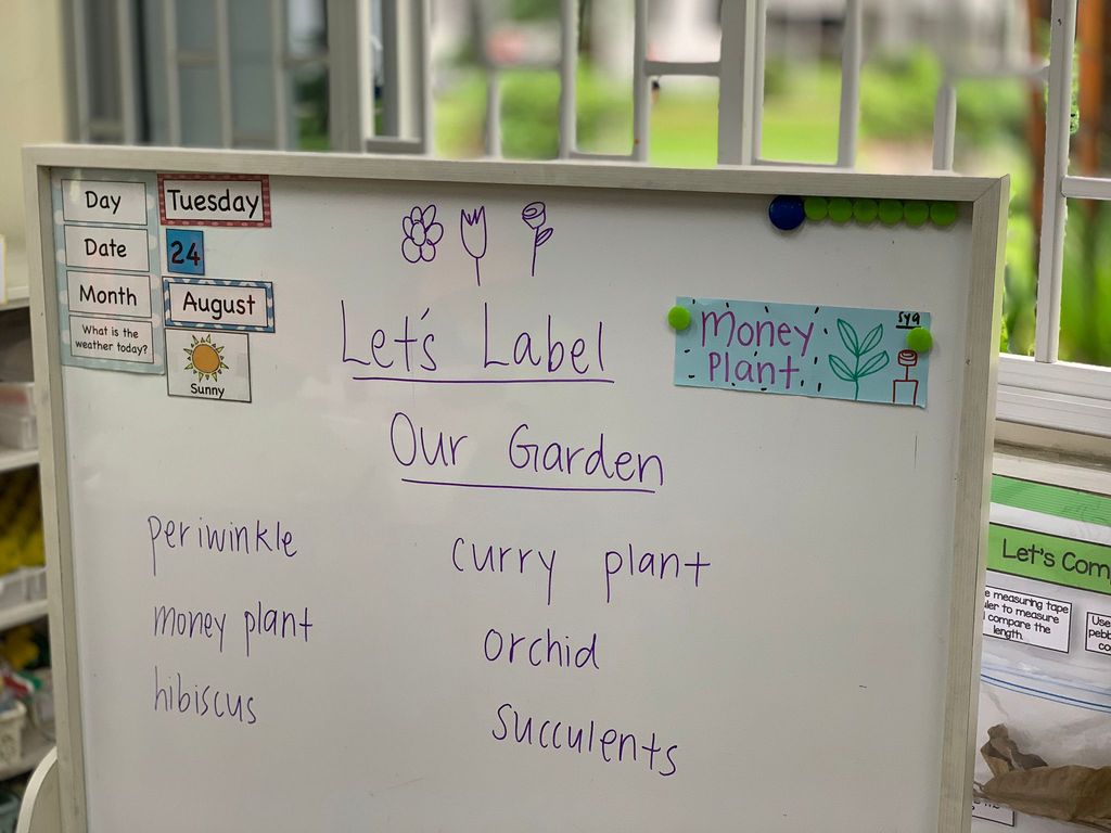 Labelling Our Mini Garden
