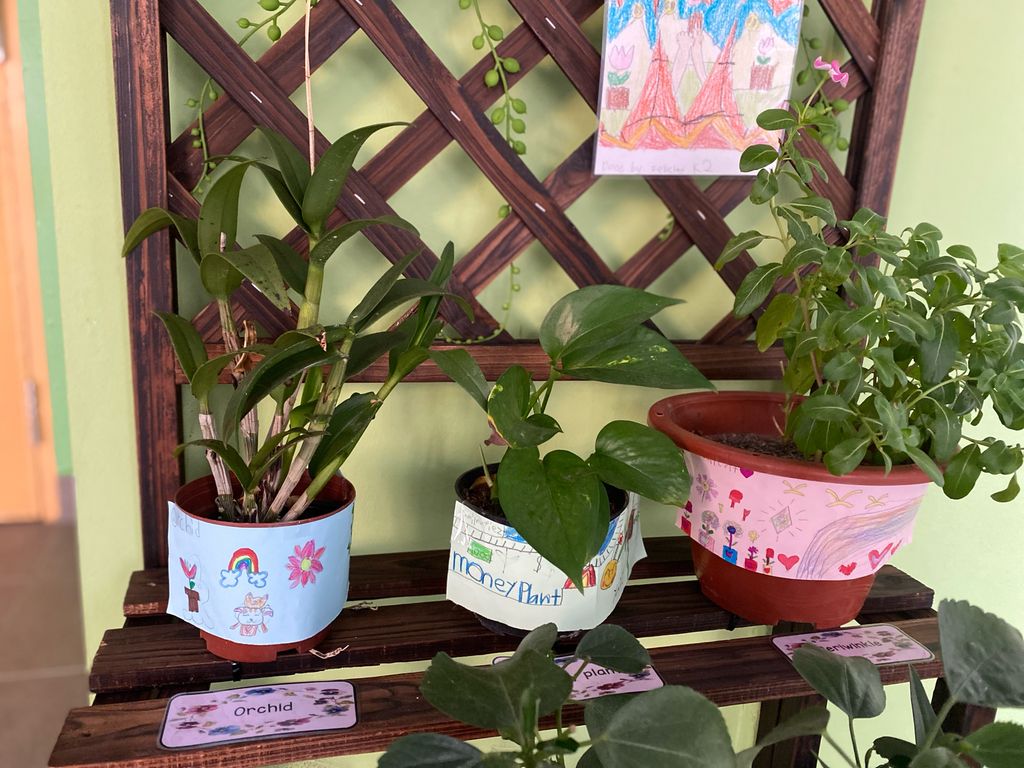 Labelling Our Mini Garden — photo 2