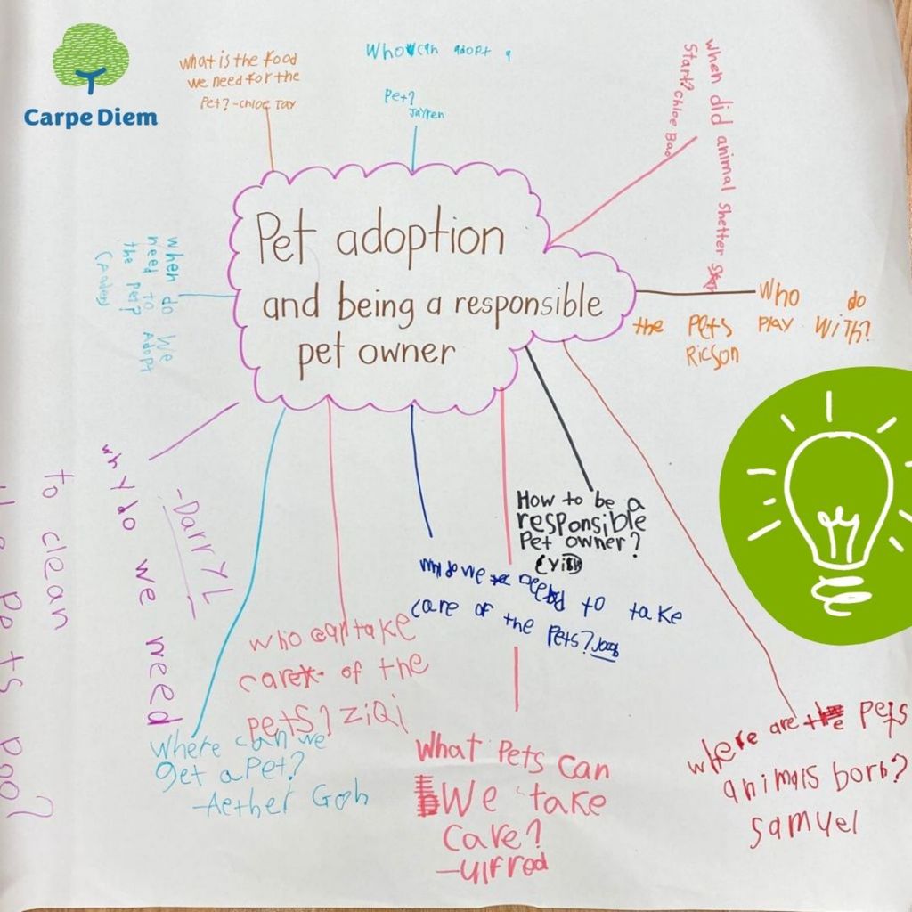 Little Legends on Being Responsible Pet Owners — photo 4